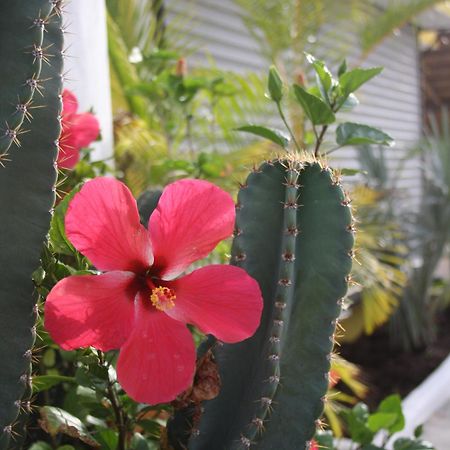 Hotel Sol Playa Playa del Carmen Dış mekan fotoğraf